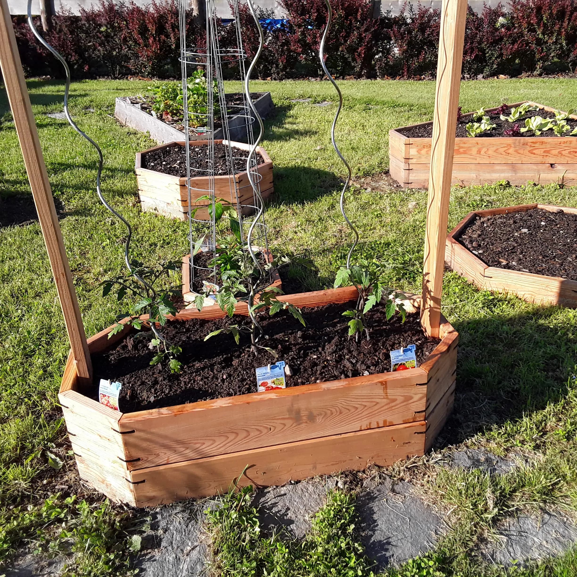 Hochbeet System – nachhaltiger Gemüseanbau im Garten - Gartenprojekt Foto 1