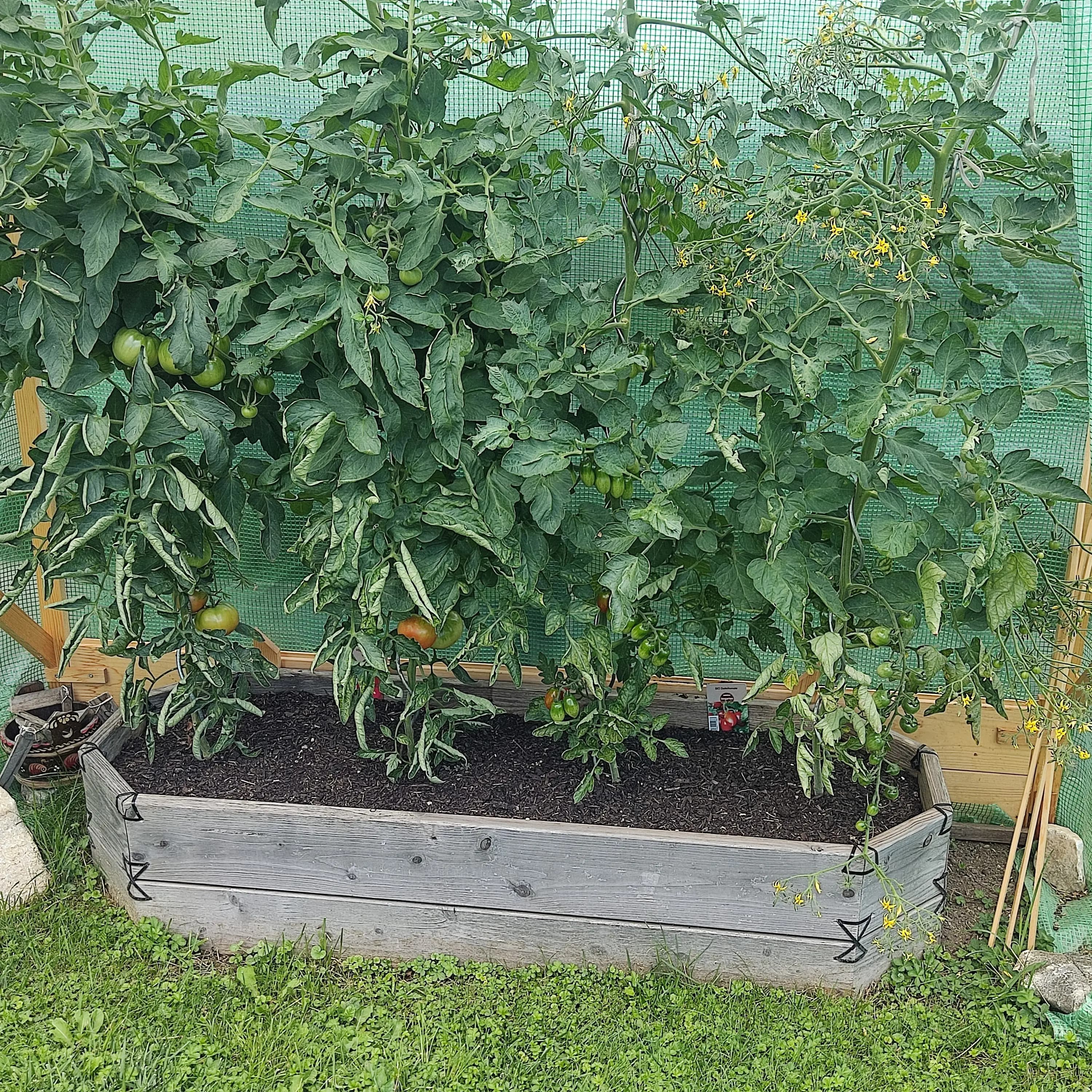 Hochbeet System – nachhaltiger Gemüseanbau im Garten - Gartenprojekt Foto 2