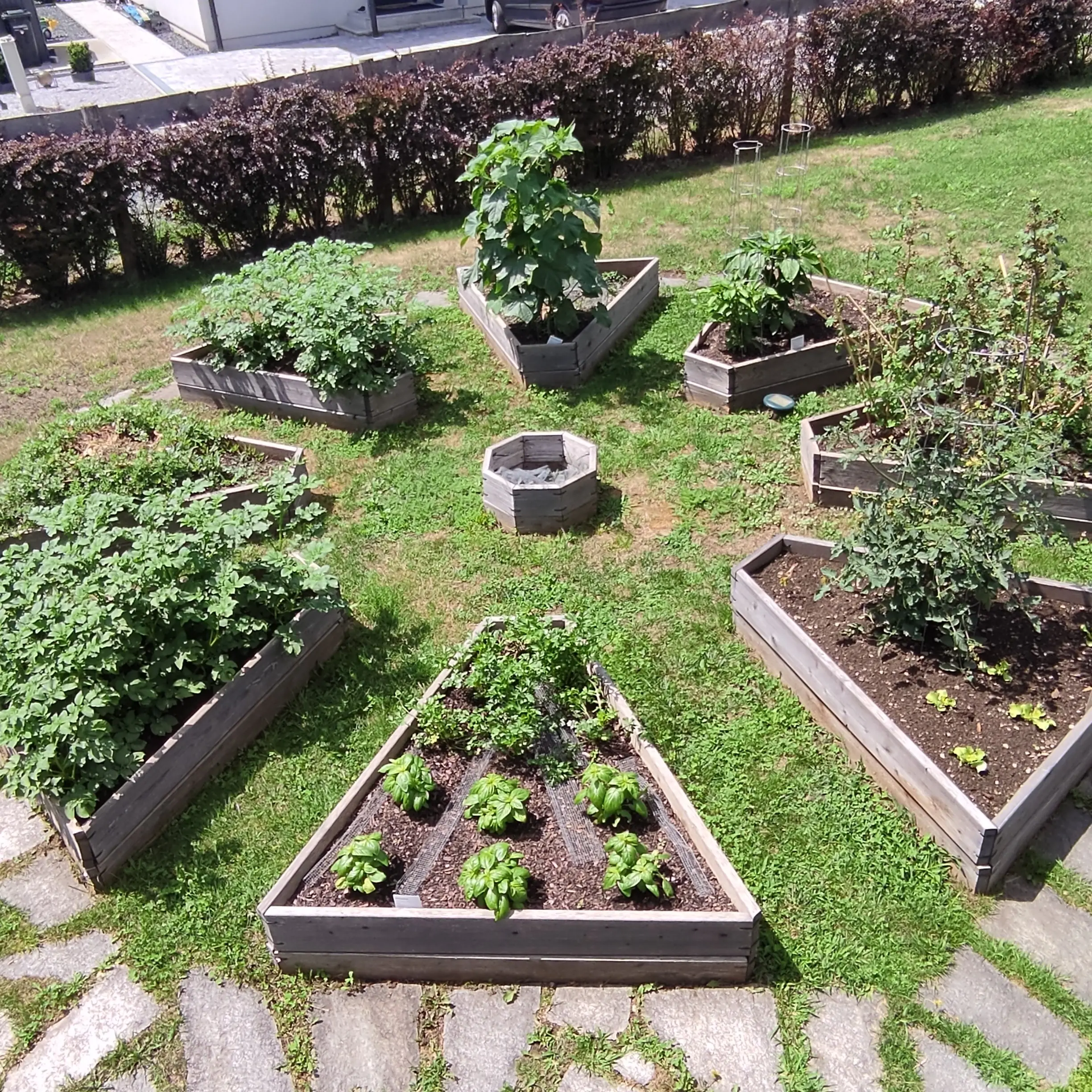 Hochbeet System – nachhaltiger Gemüseanbau im Garten - Gartenprojekt Foto 3