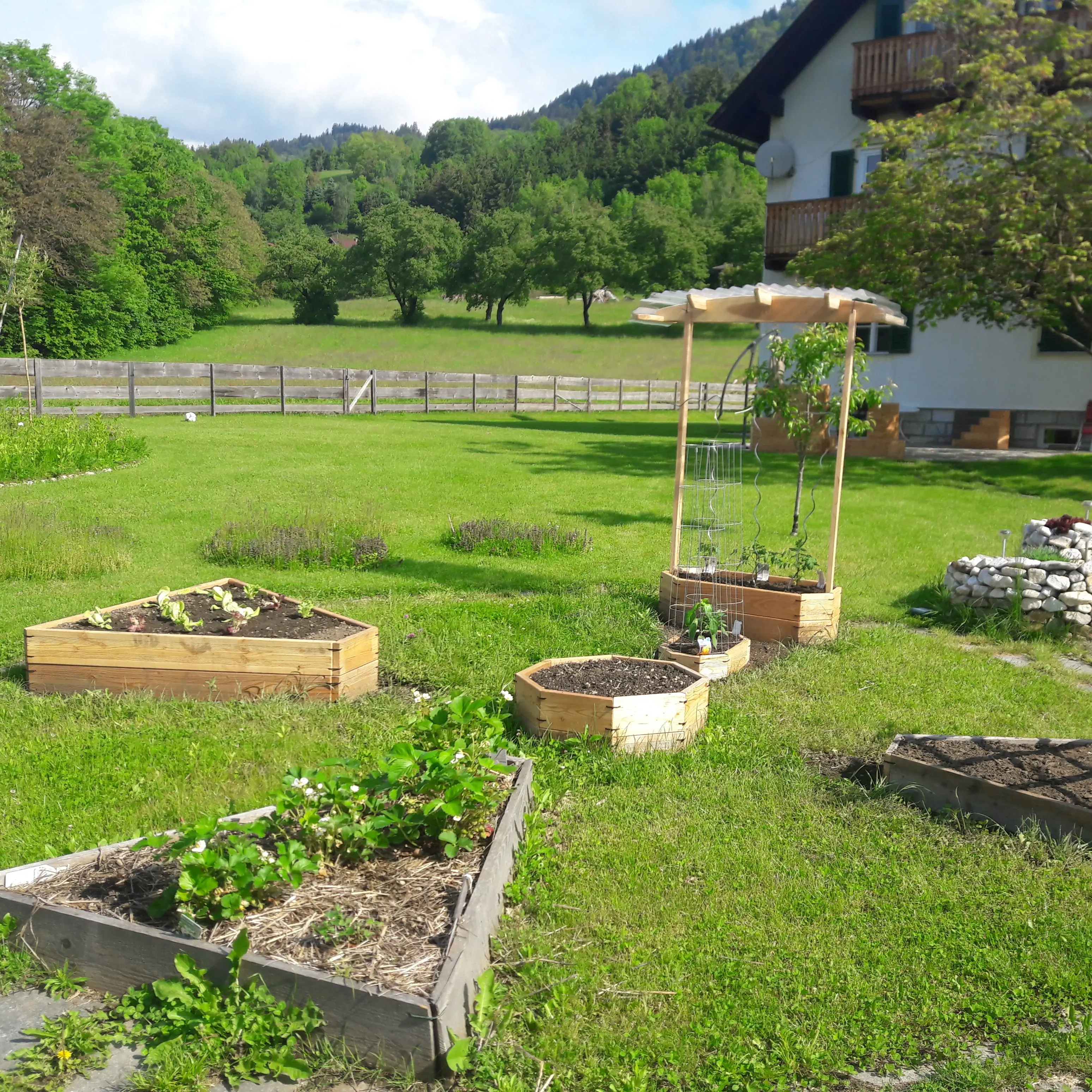 Hochbeet System – nachhaltiger Gemüseanbau im Garten - Gartenprojekt Foto 4