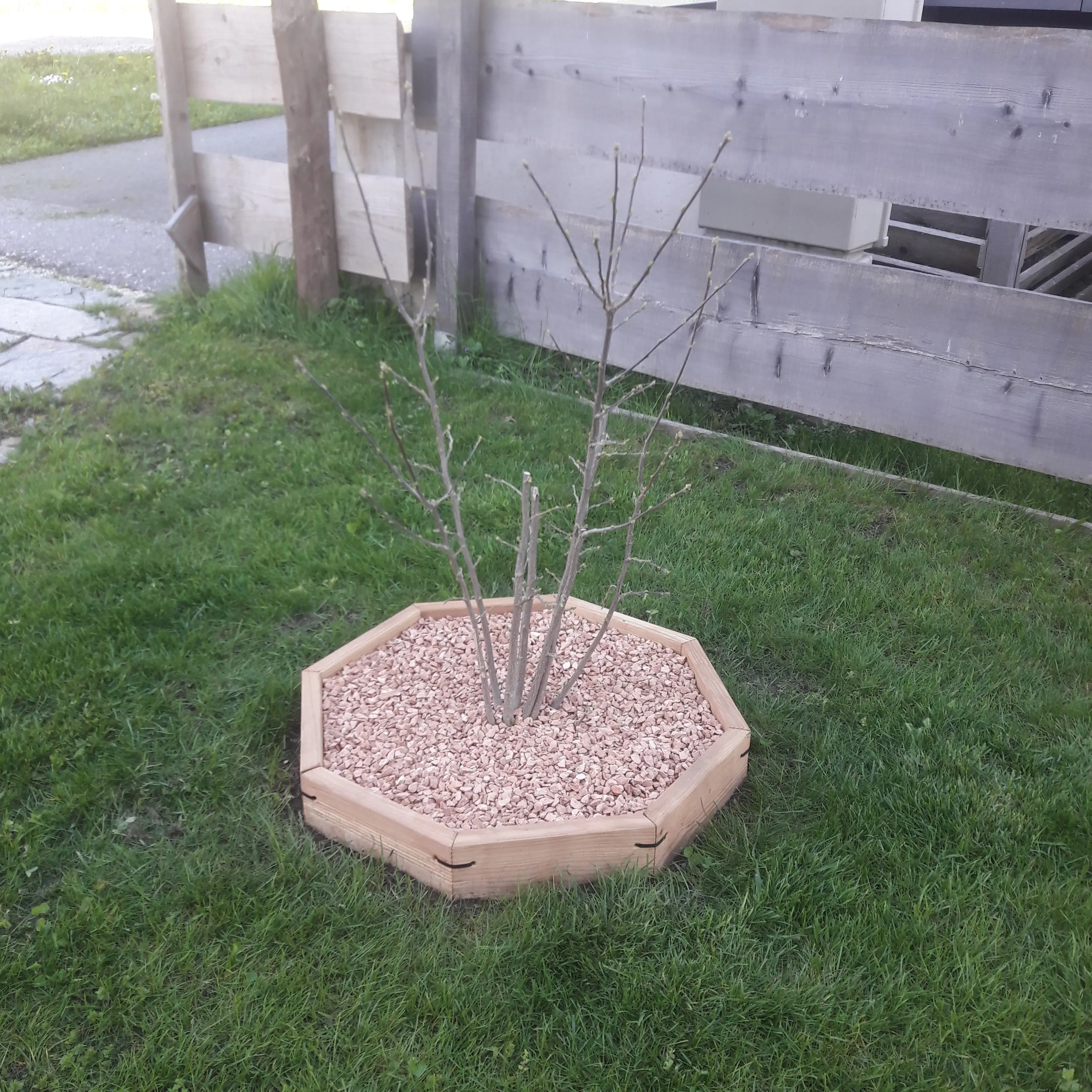 Pflanzenring – modulares Baum- & Pflanzsystem - Gartenprojekt Foto 2