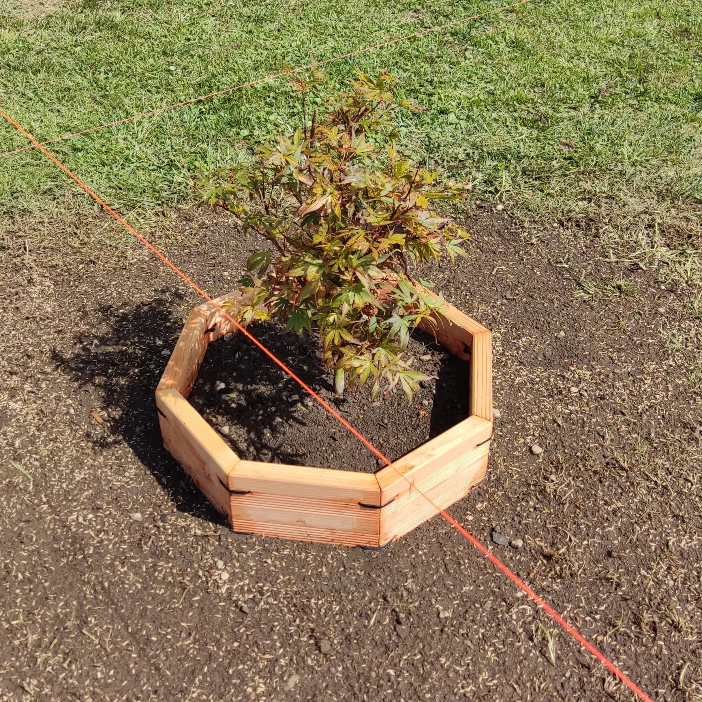 Pflanzenring – modulares Baum- & Pflanzsystem - Gartenprojekt Foto 4