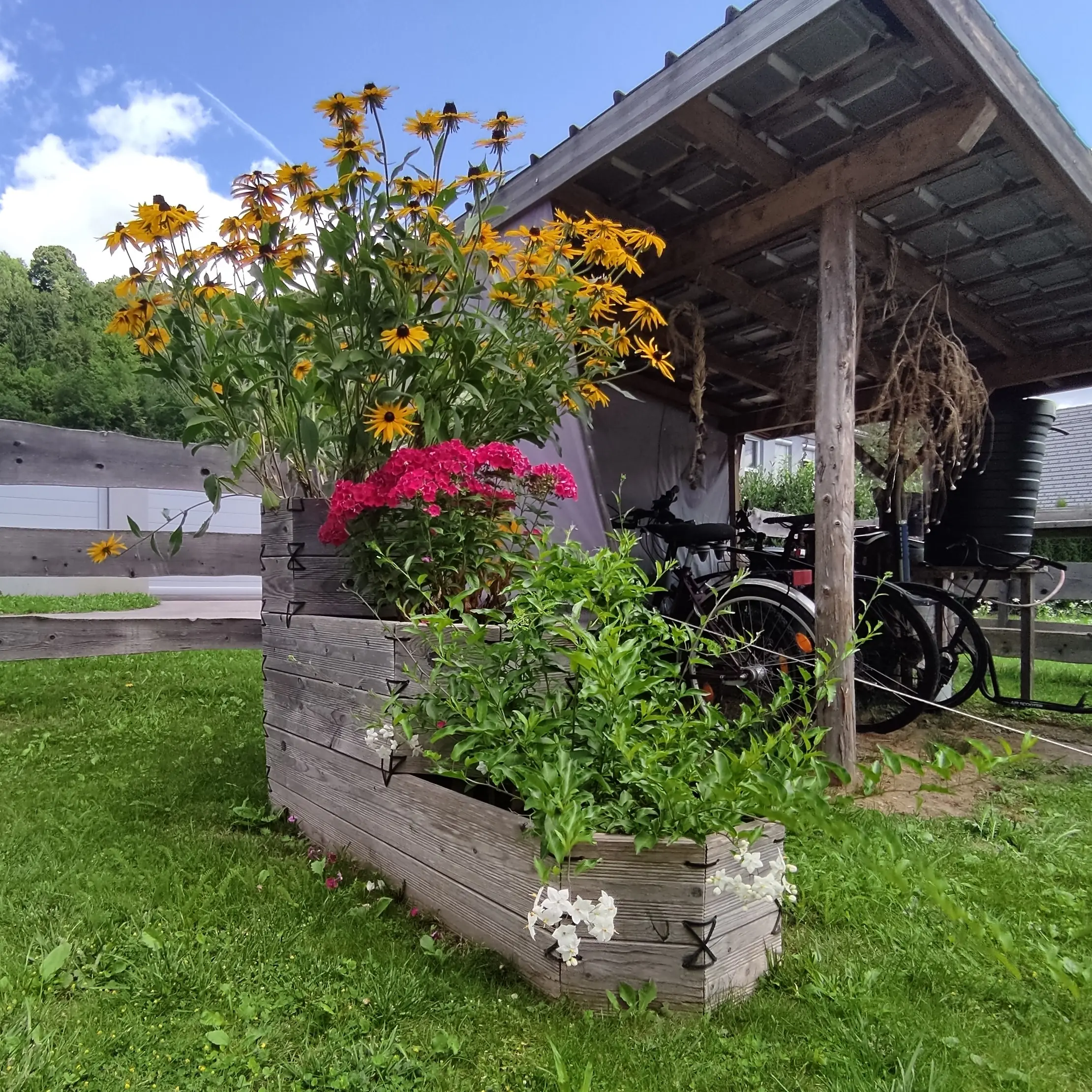 Pflanzentreppe – vertikale Lösung für kleine Gärten & Balkone - Gartenprojekt Foto 6